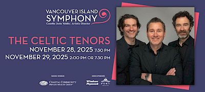 The Celtic Tenors