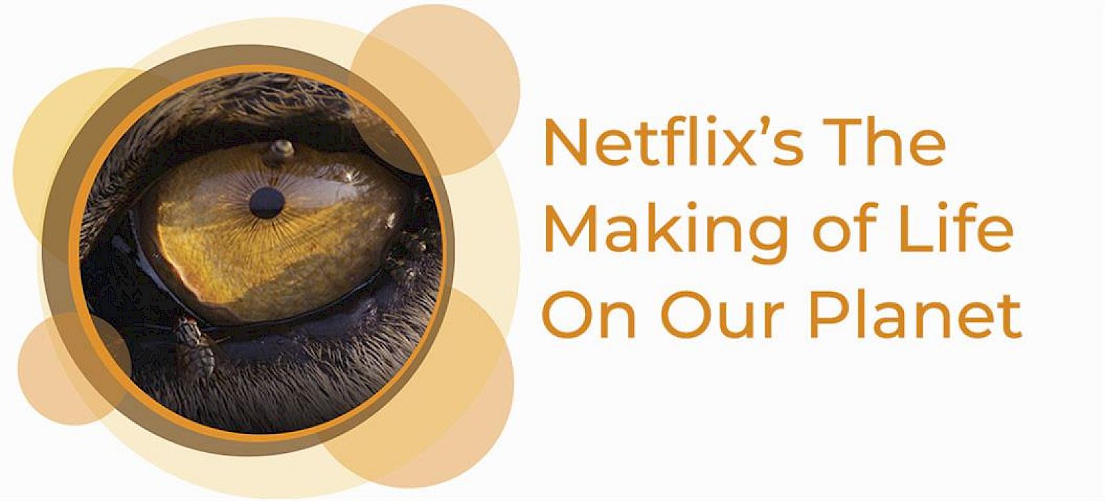 SPOTLIGHT: Netflix's The Making of Life on Our Planet