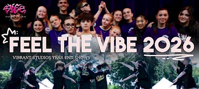 Vibrant Studios Year-End 20th Anniversary